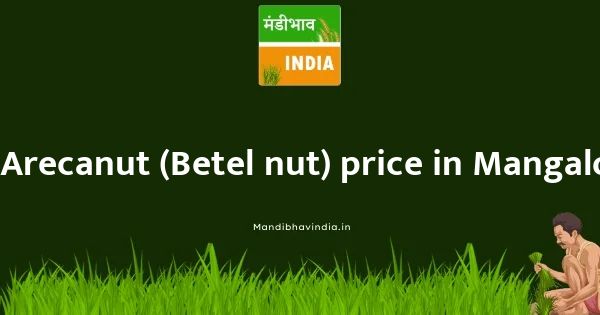 Arecanut (Betel nut) price